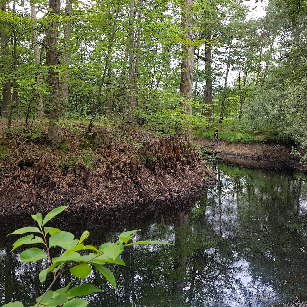 Mare aux Cerfs 2
